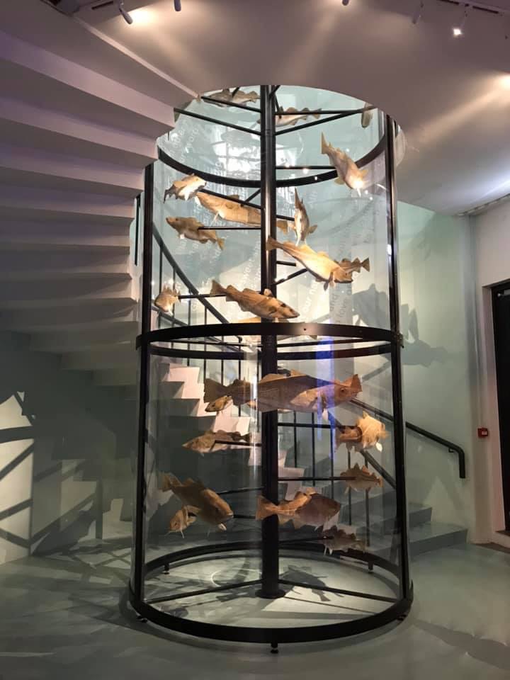 Maritiem Museum Maritiem Museum