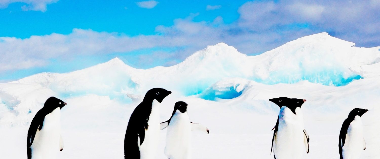 McMurdo Sound - Antarctica McMurdo Sound - Antarctica