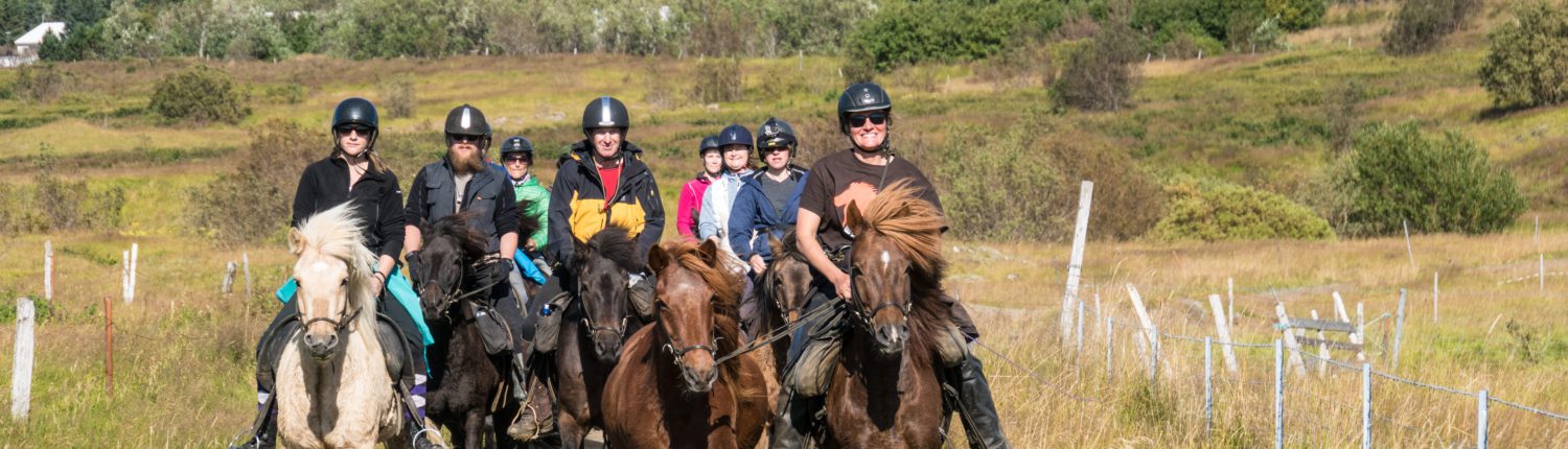 Paardrijtocht - Excursie IJsland