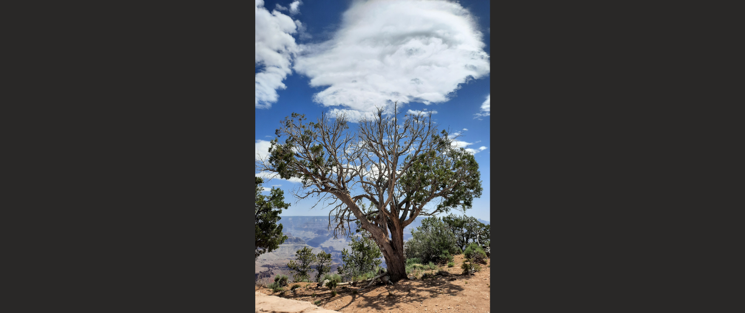 Grand Canyon Amerika - Hans Meijering
