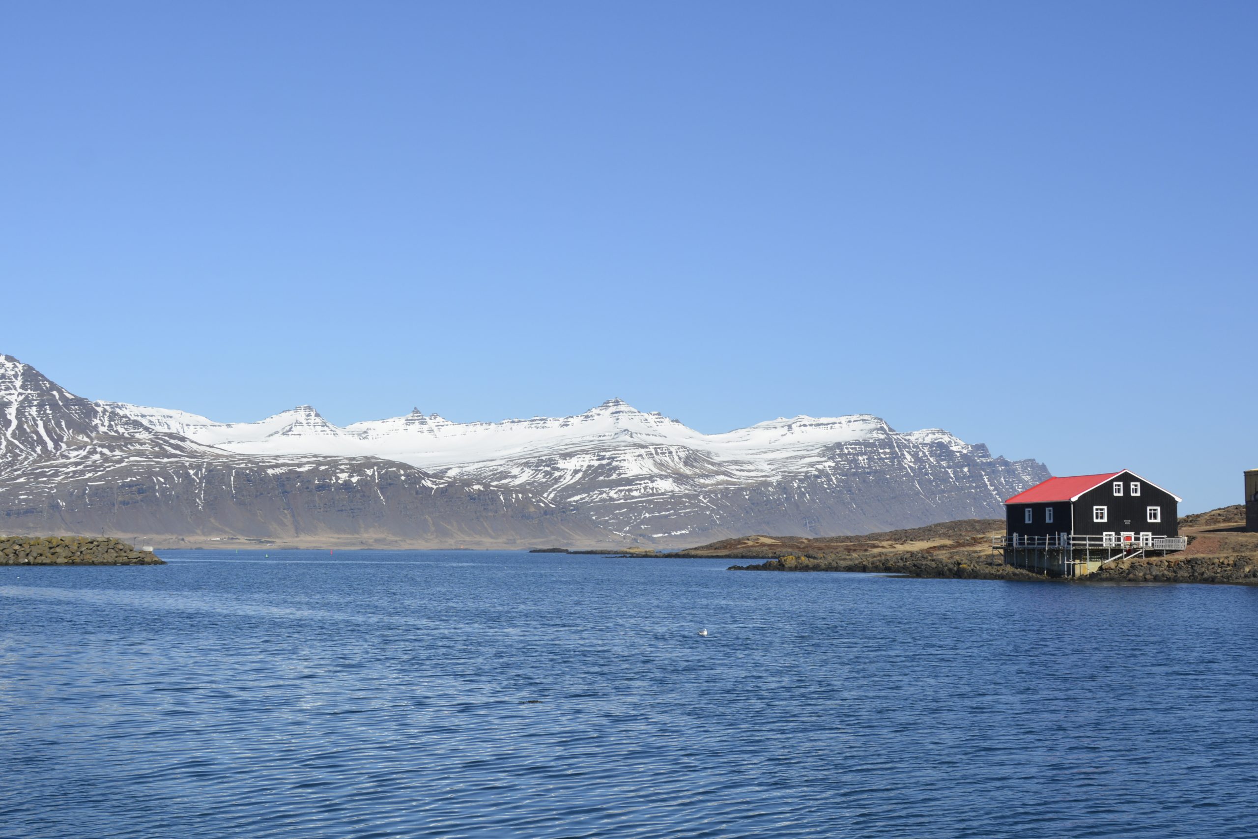 Haven van Djúpivogur Haven van Djúpivogur