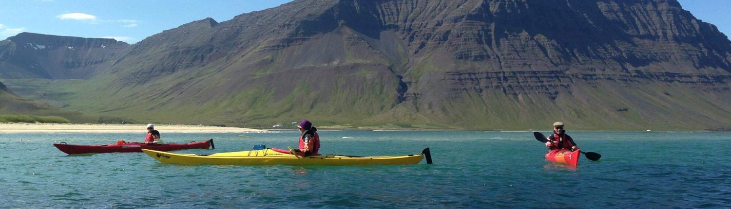 Fjord Discovery Kayaking