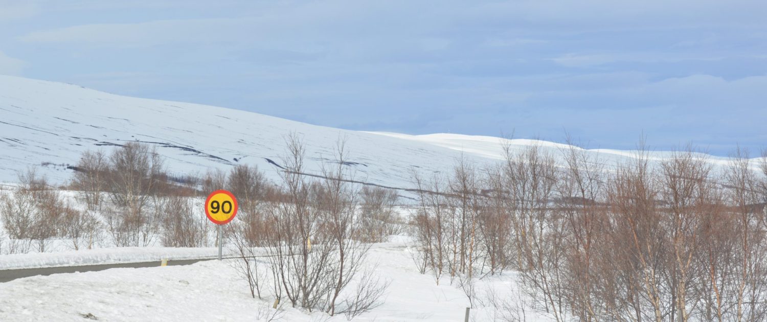 Straße zwischen Akyreyri und Godafoss Straße zwischen Akyreyri und Godafoss