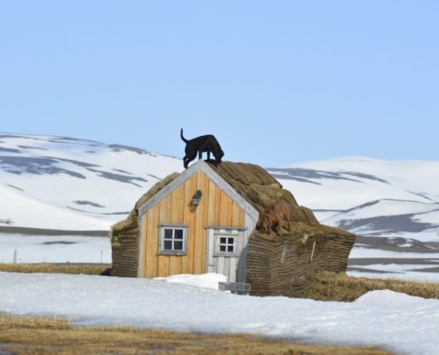 Möðrudalur Möðrudalur