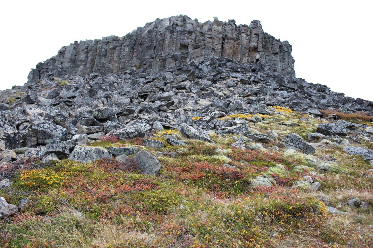 Tag 8 Basaltsäulen Borgarviki