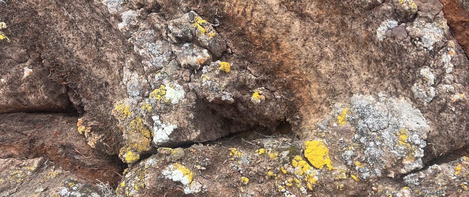 Torf aus den Häusern bei Glaumbær Torf aus den Häusern bei Glaumbær