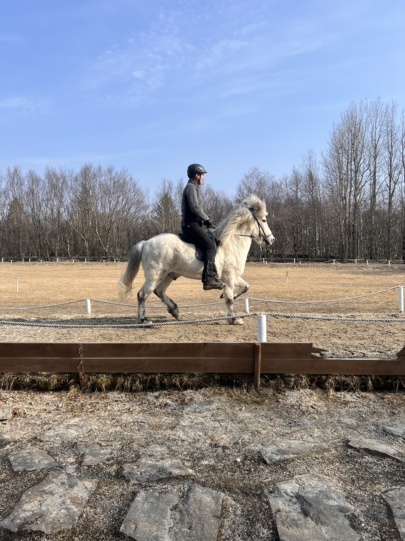 Reiten in Fridheimar Reiten in Fridheimar