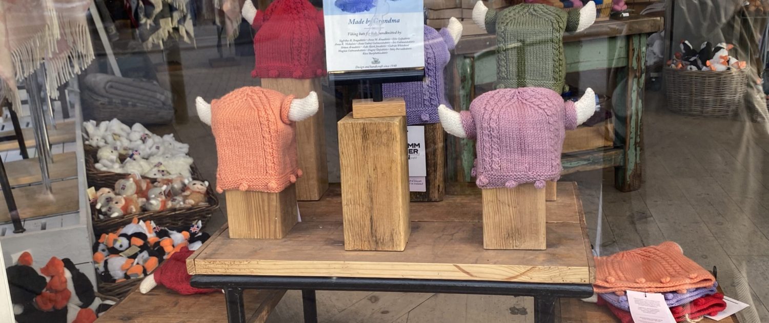 Laugavegur Gruppenreise Anna Rottier - 27. Juli - Reykjavík shop