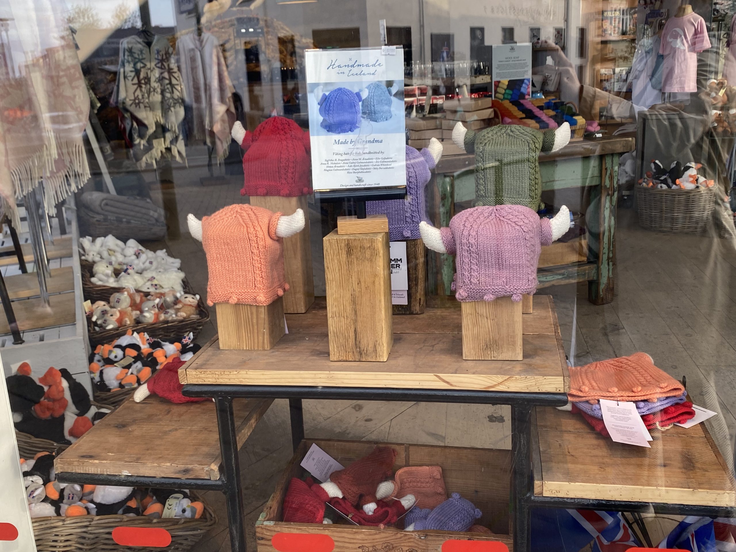 Laugavegur Gruppenreise Anna Rottier - 27. Juli - Reykjavík shop