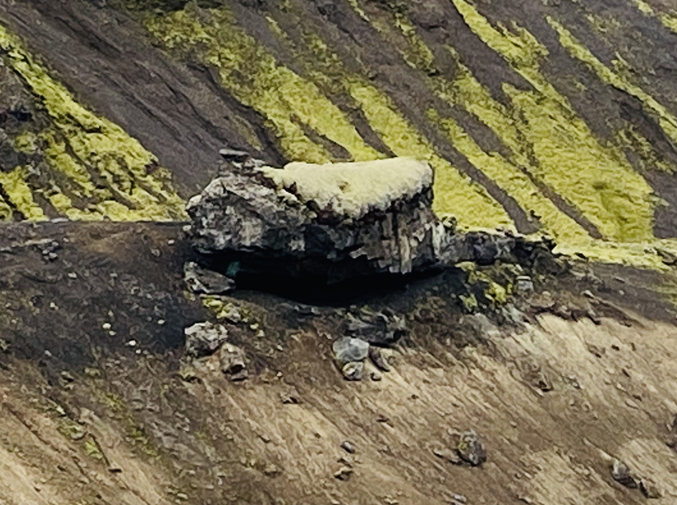 Laugavegur Gruppenreise Anna Rottier - 29. Juli - Lava auf dem Weg