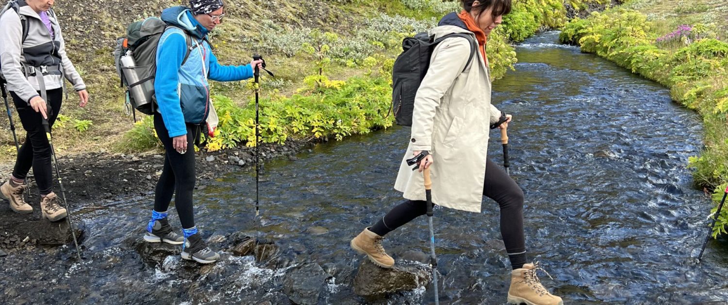 Laugavegur Gruppenreise Anna Rottier - 31. Juli - Emstrur - þórksmörk