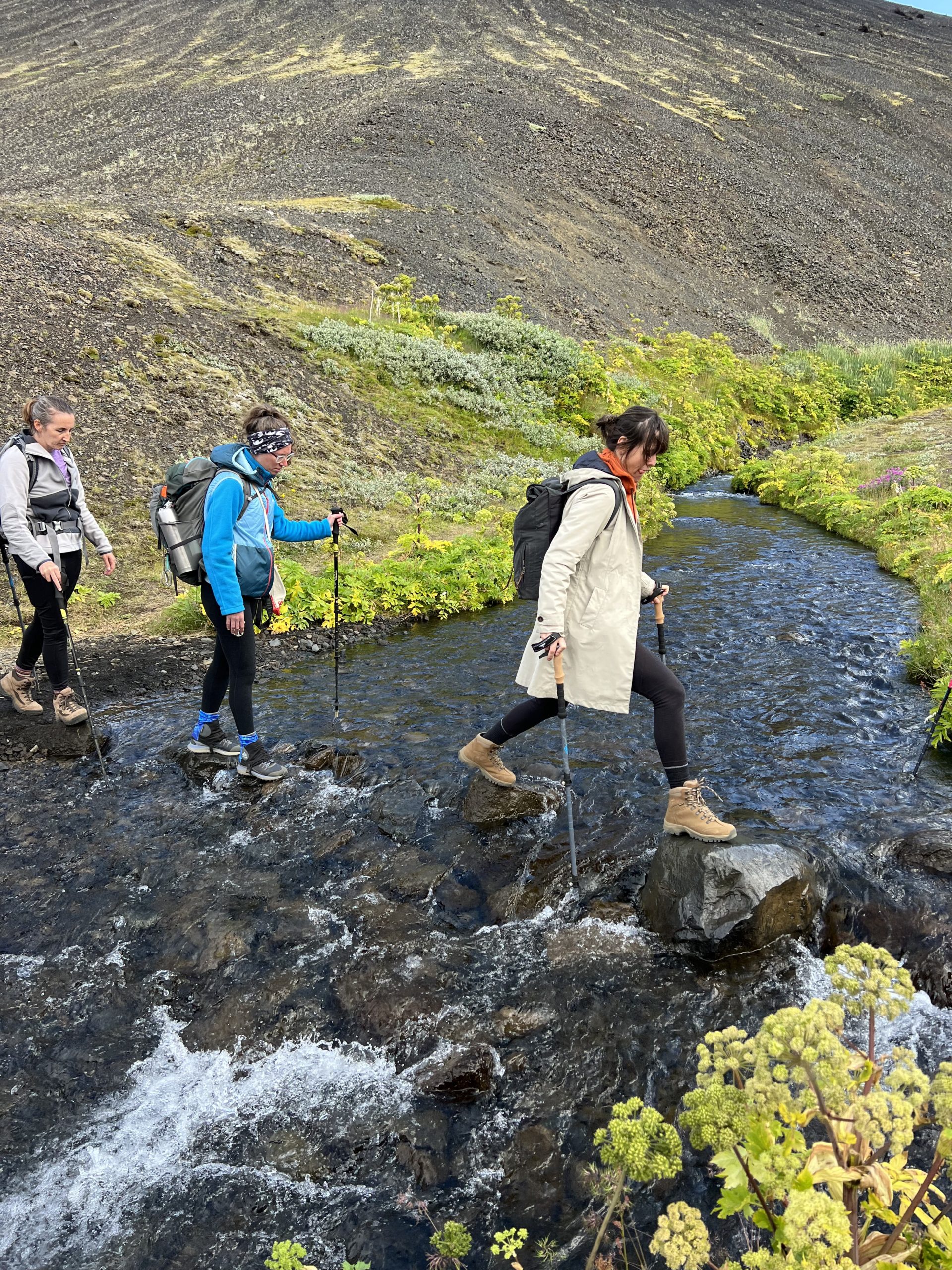 Laugavegur Gruppenreise Anna Rottier - 31. Juli - Emstrur - þórksmörk