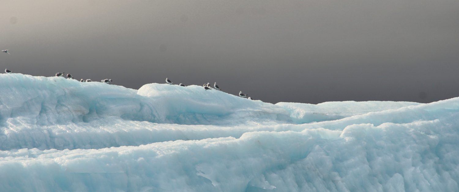Rondom Spitsbergen