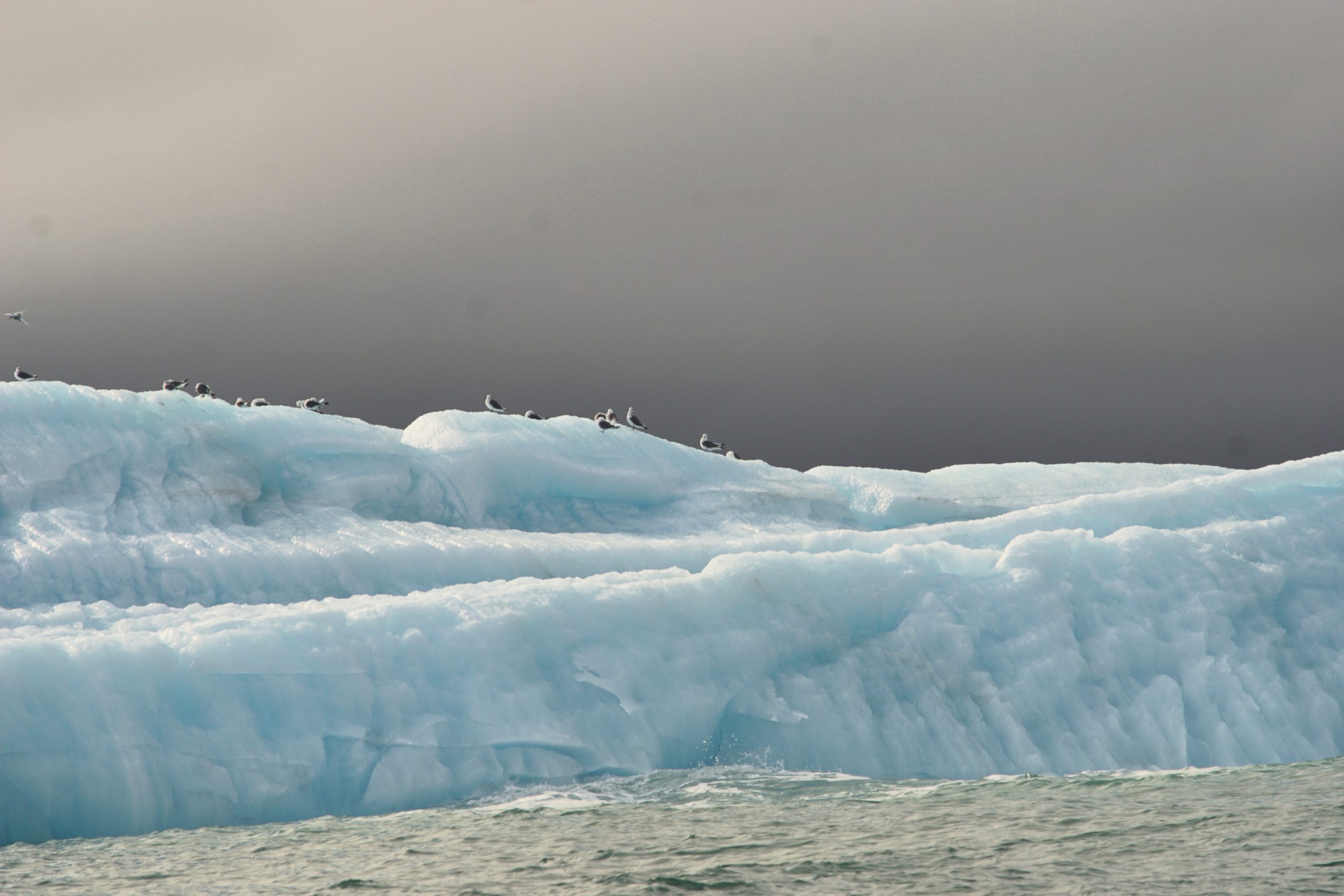Rondom Spitsbergen
