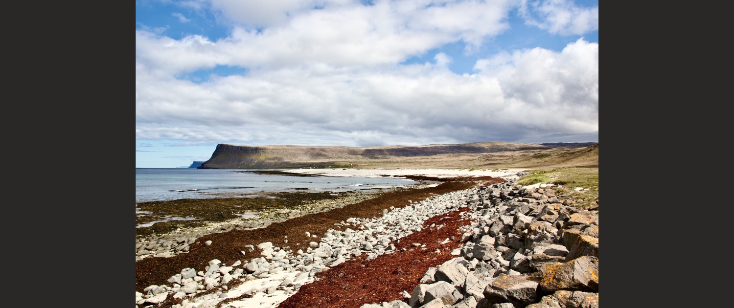 Henk en Annemieke Bouwhuis - Látrabjarg, zicht op de Westfjorden, IJsland