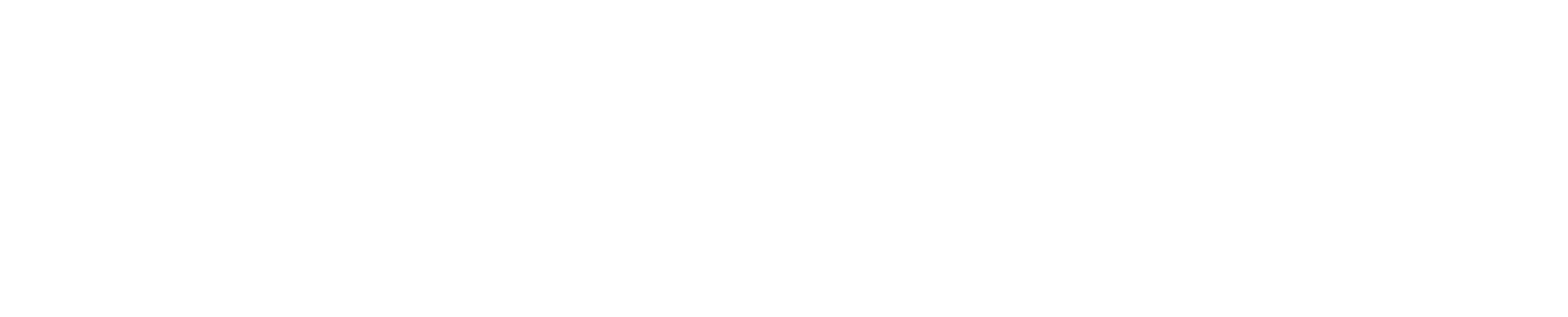 Faeroeer Inseln Spezialisten